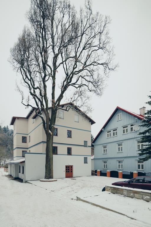 Pensjonat Limba Duszniki Zdrój Extérieur photo
